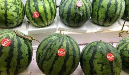 吃瓜网 免费吃瓜 51,揭秘网络吃瓜文化的狂欢盛宴