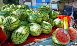 定西网红吃瓜事件真相,真相与反思